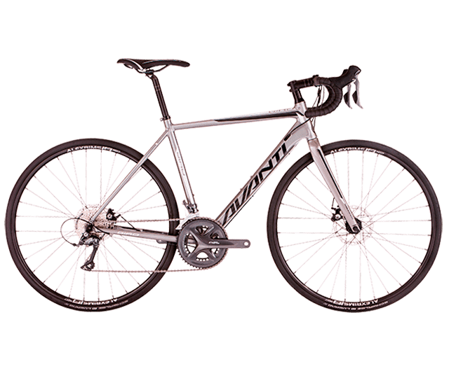 avanti gravel bike