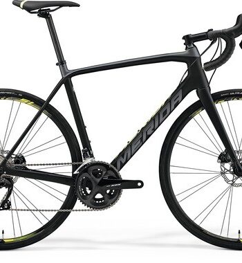 2019 Merida SCULTURA DISC 4000